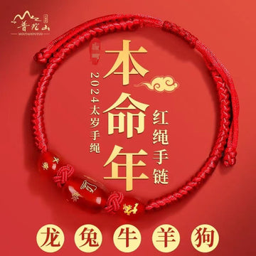 2025 Year of the Snake Year of the Birth Red Rope Bracelet for Men and Women